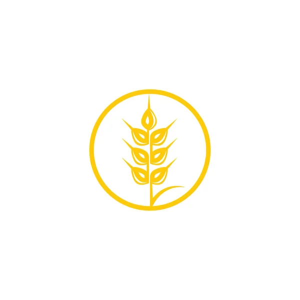 農業用小麦ベクトルのアイコンデザイン — ストックベクタ