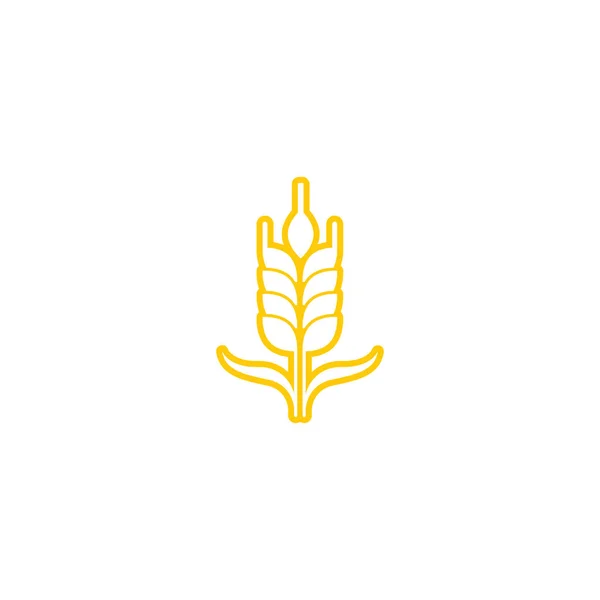 Tarım Buğday Vektör Tasarımı — Stok Vektör