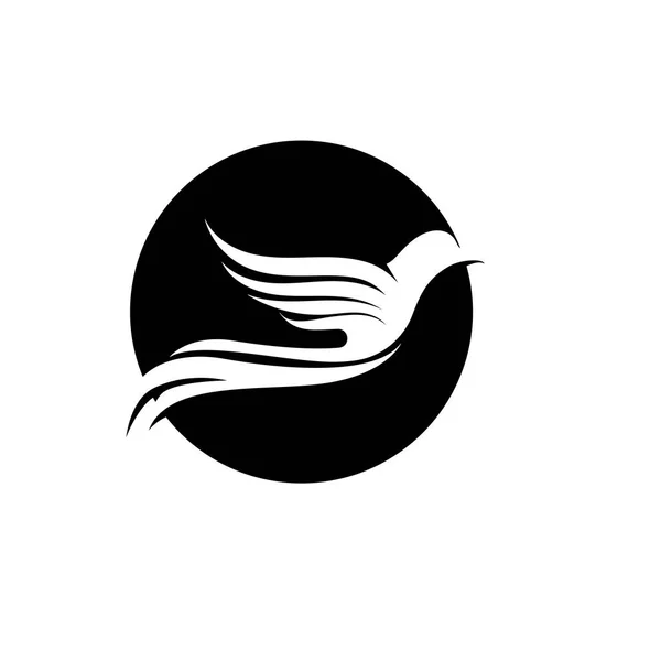 Vektorová Šablona Návrhu Loga Létání Ptáků Dove Pigeon Logotype Koncept — Stockový vektor