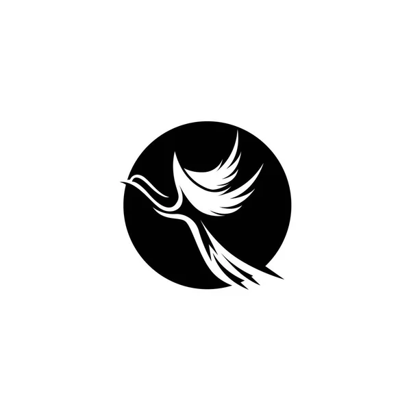 Lentävä Bird Logo Suunnittelu Vektori Malli Dove Pigeon Logotype Konsepti — vektorikuva