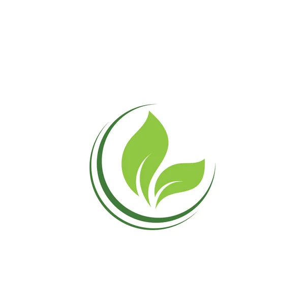 Logos Vert Feuille Arbre Écologie Élément Nature Vecteur — Image vectorielle