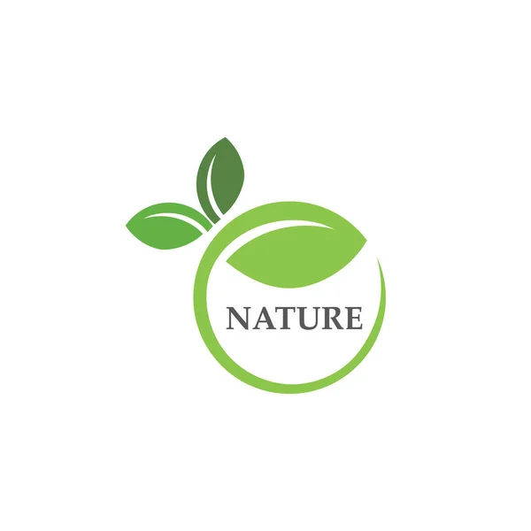 Vert Feuille Logo Écologie Nature Élément Vecteur Ico — Image vectorielle
