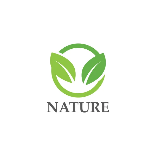 Logos Vert Feuille Arbre Écologie Élément Nature Vecteur — Image vectorielle