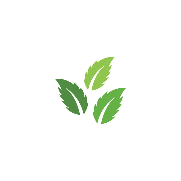 Verde Hoja Logo Ecología Naturaleza Elemento Vector Ico — Vector de stock