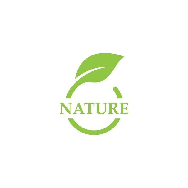 Vert Feuille Logo Écologie Nature Élément Vecteur Ico — Image vectorielle