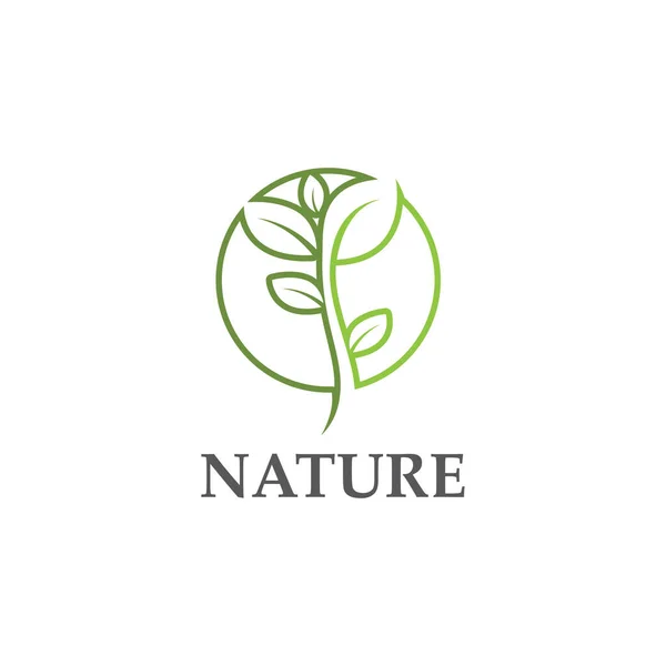 Logo Van Groene Boomblad Ecologie Natuur Element Vector — Stockvector