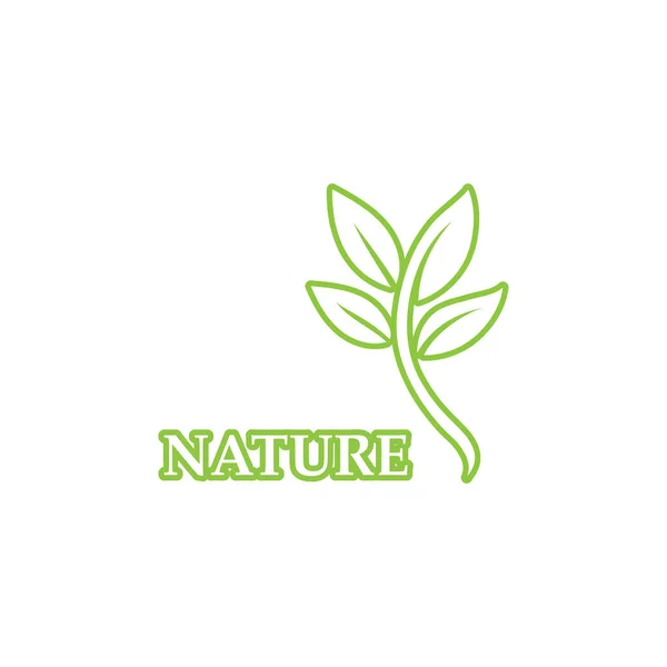 Verde Hoja Contorno Ecología Naturaleza Elemento Vector — Vector de stock