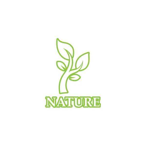 Green Leaf Outline Ecology Nature Element Vector — Stock Vector