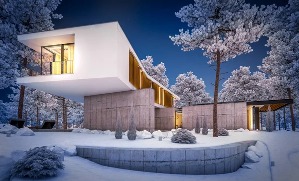 3D-rendering van modern huis op de heuvel met zwembad in de winter nig — Stockfoto