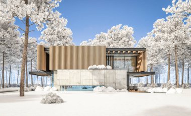 Park yeri ve havuzu satılık ya da kiralık, ahşap ön cepheli ve arka planda güzel peyzajlı modern konforlu bir ev. Parlak beyaz karlı serin bir kış günü.