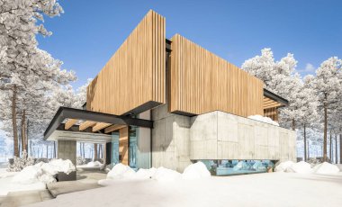 Park yeri ve havuzu satılık ya da kiralık, ahşap ön cepheli ve arka planda güzel peyzajlı modern konforlu bir ev. Parlak beyaz karlı serin bir kış günü.