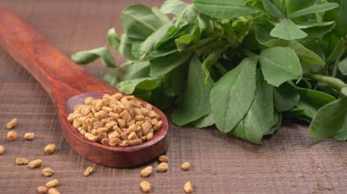 Methi veya çeçen tohumu ile metil yaprakları. Methi tohumları sağlık için iyidir..