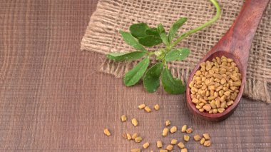 Methi veya çeçen tohumu ile metil yaprakları. Methi tohumları sağlık için iyidir..