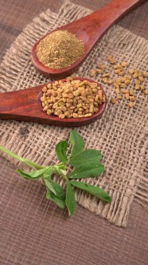 Methi veya çeçen tohumu ile metil yaprakları. Methi tohumları sağlık için iyidir..