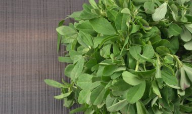 Methi yapraklarına yakın çekim. Methi tohumları sağlık için iyidir..