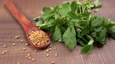 Methi veya çeçen tohumu ile metil yaprakları. Methi tohumları sağlık için iyidir..