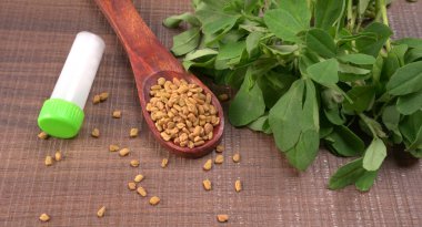 Methi veya çeçen tohumu ile metil yaprakları. Methi tohumları sağlık için iyidir..