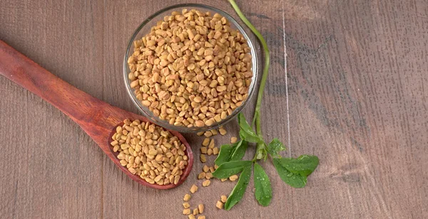 Methi veya çeçen tohumu ile metil yaprakları. Methi tohumları sağlık için iyidir..