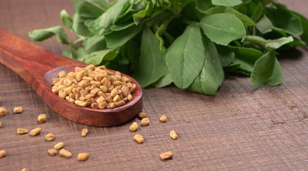 Methi veya çeçen tohumu ile metil yaprakları. Methi tohumları sağlık için iyidir..