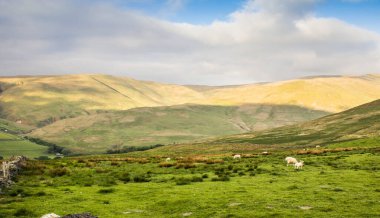 İngiltere 'deki Yorkshire Dales Ulusal Parkı' nın kırsal manzarası