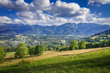 Polonya 'daki Tatra Dağları. Vadideki Zakopane manzarası, arka plandaki dağlar.