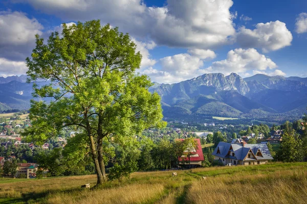 Tatra Polen Blick Auf Zakopane Tal Hintergrund Die Berge — Stockfoto