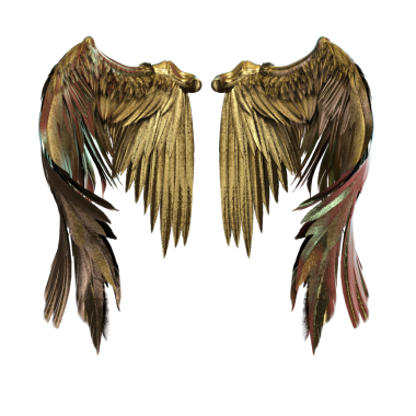 3D görüntüleme, illüstrasyon, altın kanat tüyleri