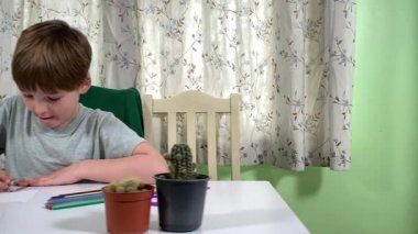 Evde kalemlerle resim çizen sevimli bir okul çocuğu. Yaratıcı bir işle uğraşıyor. Hobisine odaklanmış, evde boş vakit geçirirken hayal gücü ve sanatsal beceriler geliştiriyor.. 