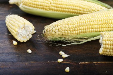 ahşap arka plan, metin için yer üzerinde genç Mısır