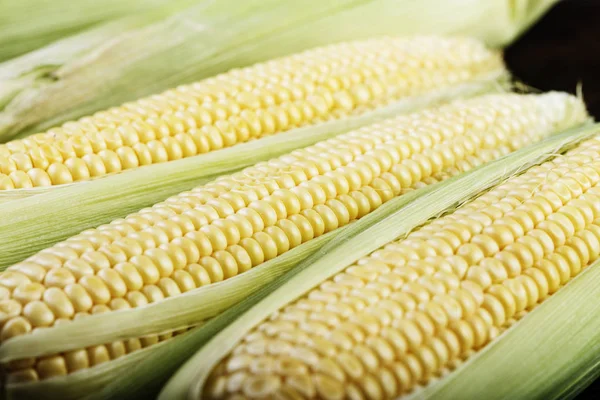 Young Corn Background Close Place Text — Stock Photo, Image