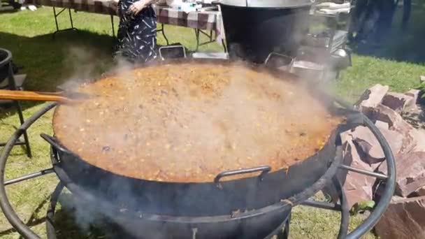 Bigos calientes en una cacerola — Vídeo de stock