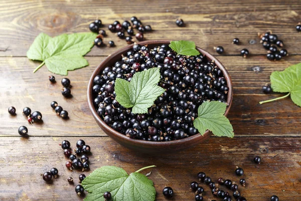 Natürliche Antioxidative Frische Bio Johannisbeere Auf Einem Hölzernen Hintergrund Platz — Stockfoto