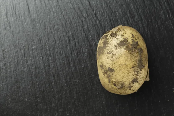 生在泥里的小土豆 躺在黑色的石板上背景 — 图库照片