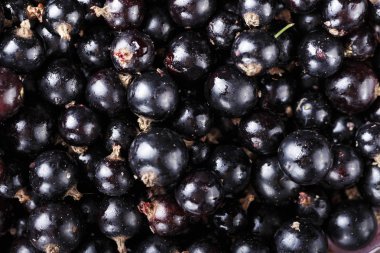 BlackBerry yakın çekim arka plan. Üstten Görünüm