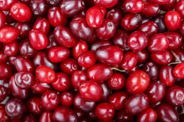 ham akik çilek arka plan olarak dağılmış. bir içki ve reçel dogwoo üzerinden hazırlanması