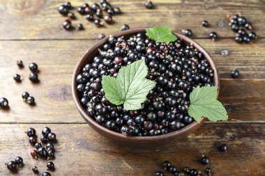 kuş üzümü bir tabak içinde olgun bir ürün. vitamini berry. tex için yer