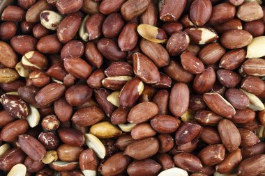 çiğ fıstık arka plan olarak dağılmış. metin için yer. besleyici vejeteryan yemek. bira snac