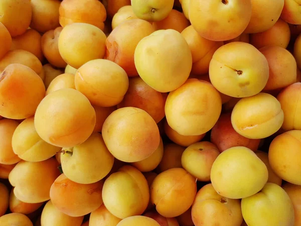 Lot Ripe Apricot Background Place Tex — Stock Photo, Image