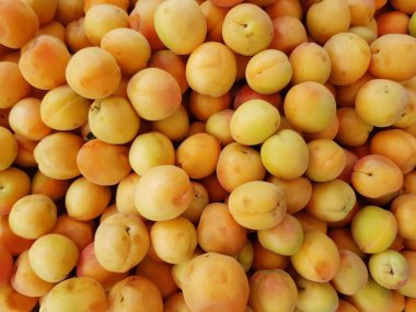 arka plan olarak olgun kayısı çok. tex için yer