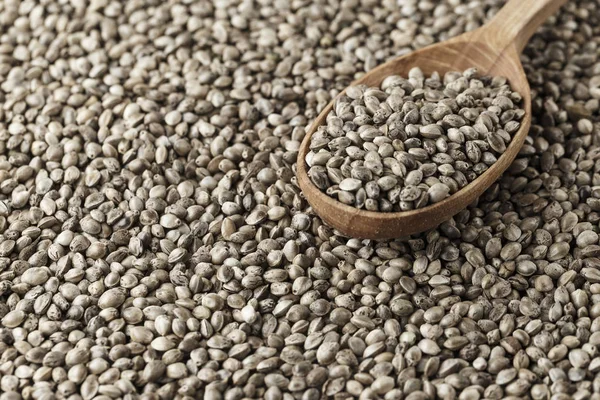 hemp seeds are scattered as a background, on top lies a rustic wooden spoo