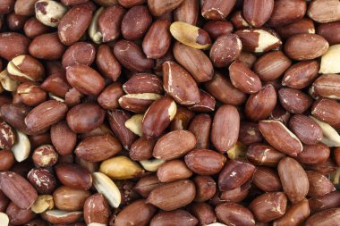 çiğ fıstık arka plan olarak dağılmış. metin için yer. besleyici vejeteryan yemek. bira snac