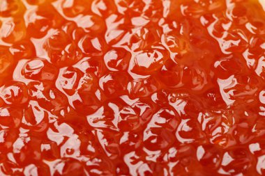 Somon havyarı yakın plan, mesaj için yer. Faydalı bir lezzet. Havyar taneleri açıkça görülüyor.