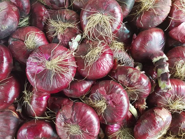 kırmızı soğan bir arka plan olarak. soğan, Kırım bilinir. tex için yer