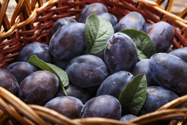 olgun organik Erik Vines bir sepet içinde hasat. tex için yer