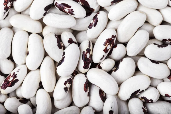 Kuru fasulye arka plan olarak dağılmış. tex için yer