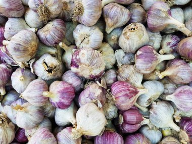 Organik sarımsak bir adam olarak Başkanı bir sürü