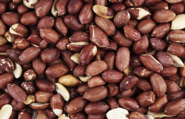 çiğ fıstık arka plan olarak dağılmış. metin için yer. besleyici vejeteryan yemek. bira snac