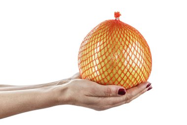 büyük bir narenciye. bir tablo içinde bir pomelo tutun beyaz bir arka plan üzerinde izole bir elinde