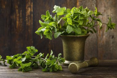 taze nane pirinç harç içinde. güzel taze arka plan. dekor için serinletici içecekler ve tatlılar. tex için yer