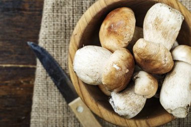 Ahşap adam ahşap bir tabağa ham mantar çörek